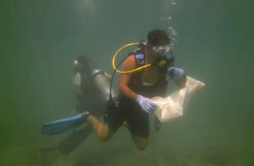 Underwater clean up